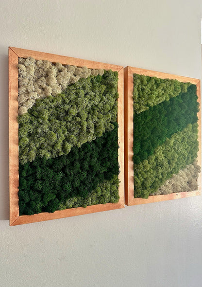 Moss Wall Art | Preserved Moss Framed | Moss Wall Decor | Moss Wall Art | Set of 1 - 4 | Rectangle Wood Frame | Dark Green, Mint and White