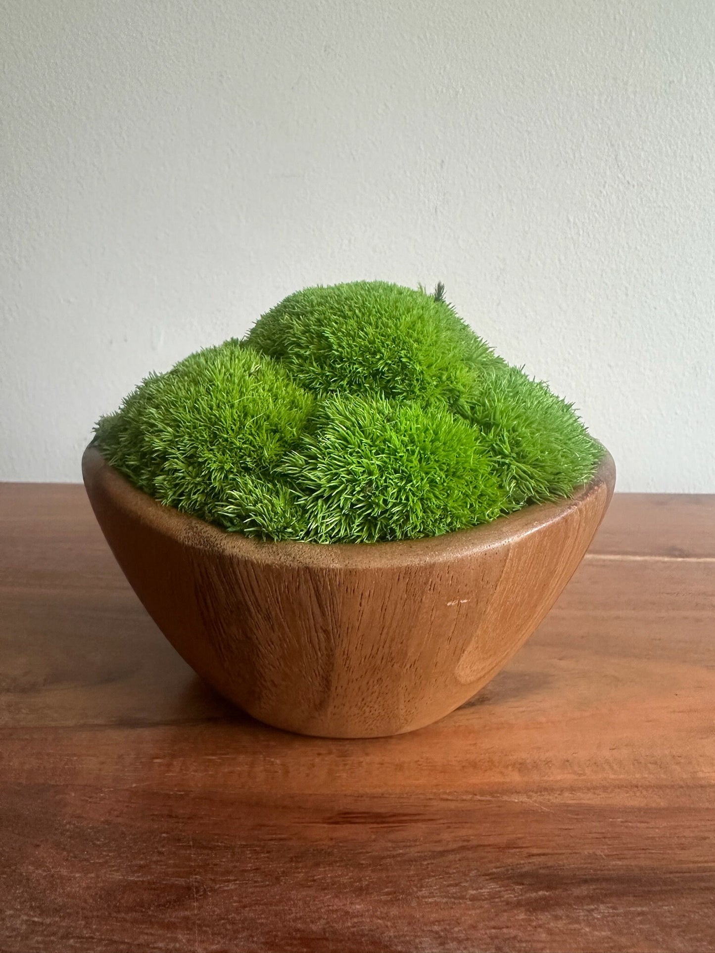 Preserved Pole Moss Centerpiece: Wood Bowl, Unique Moss Planter | USA - TARIFF FREE