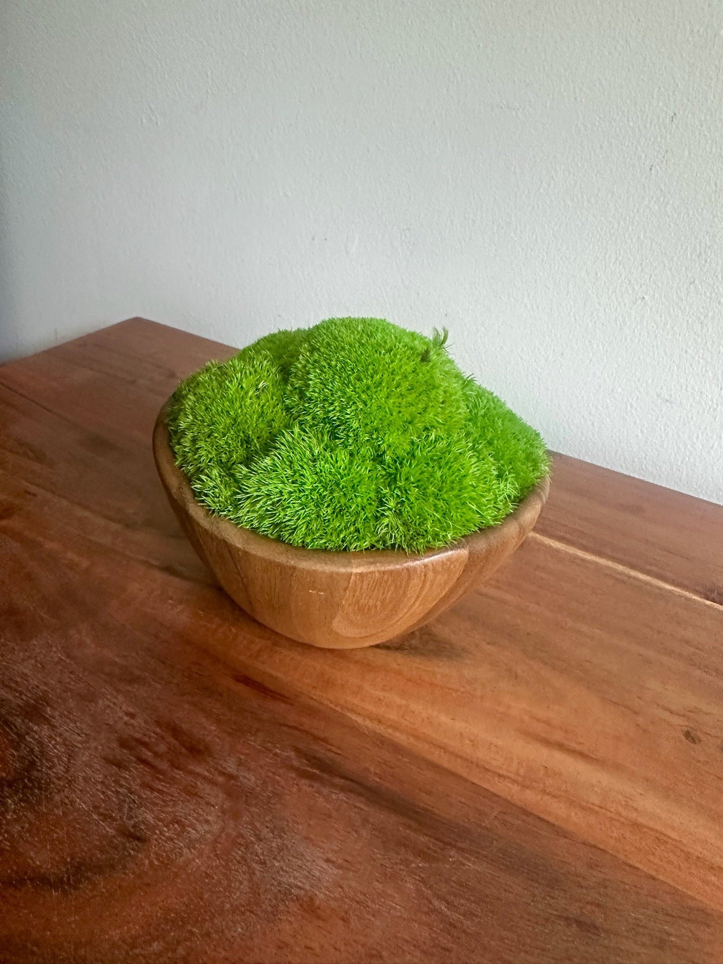Preserved Pole Moss Centerpiece: Wood Bowl, Unique Moss Planter | USA - TARIFF FREE