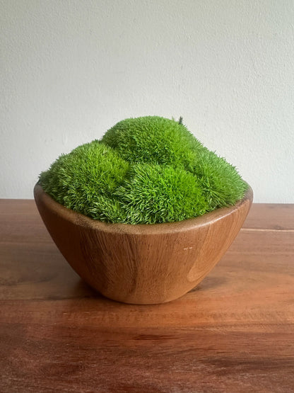 Preserved Pole Moss Centerpiece: Wood Bowl, Unique Moss Planter | USA - TARIFF FREE