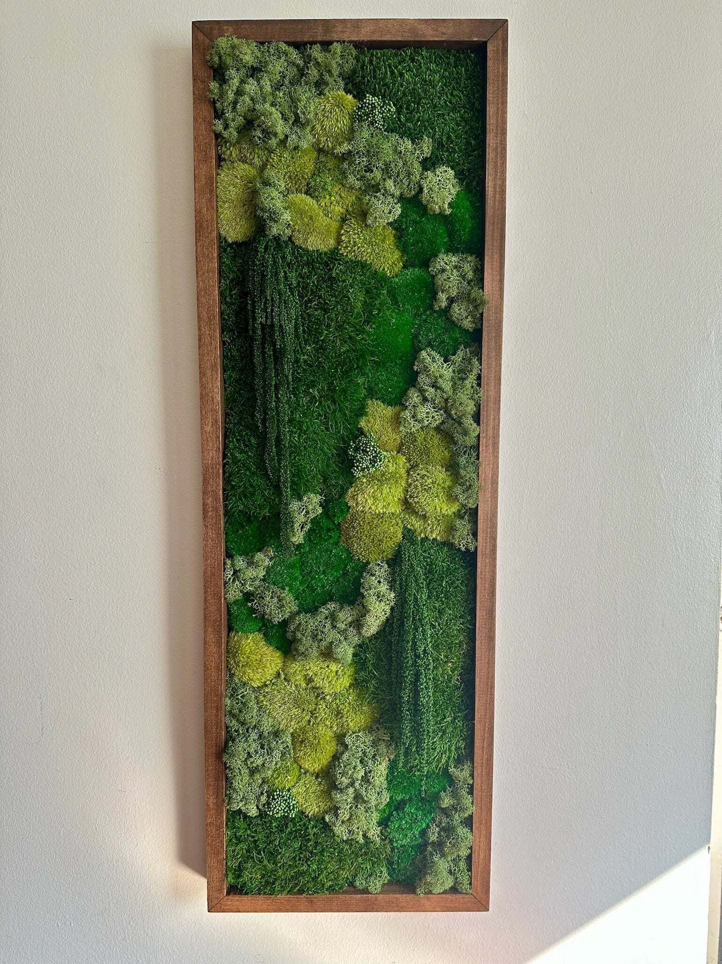 Moss Wall Art | Preserved Moss Art | Moss Wall Decor | Moss Wall Sets | Large Rectangle Single - Six Set | Green Reindeer Sheet + Pole Moss