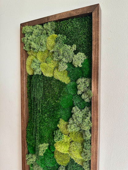 Moss Wall Art | Preserved Moss Art | Moss Wall Decor | Moss Wall Sets | Large Rectangle Single - Six Set | Green Reindeer Sheet + Pole Moss