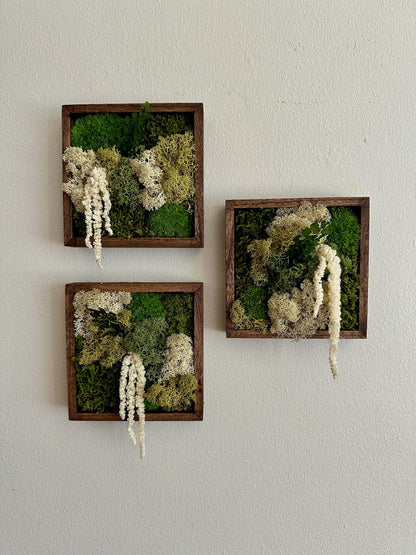Moss Wall Art | Moss Decor | Sets 1 to 6 | 5" x 5" or 8" x 8" | Wood Square Frame | Preserved Moss | Pole, Sheet and Reindeer Moss | Gift