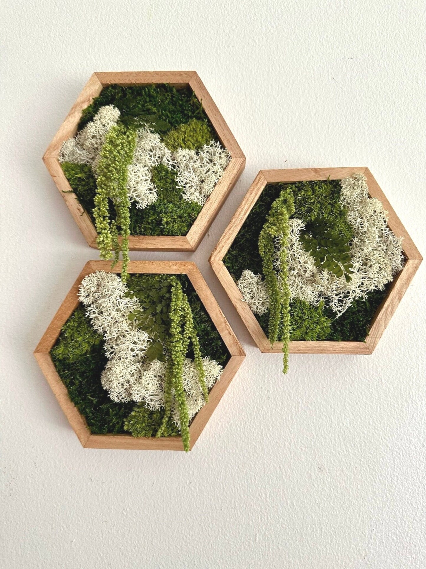 Honeycomb Moss Wall Art: Preserved Reindeer Moss & Amaranthus | USA - TARIFF FREE