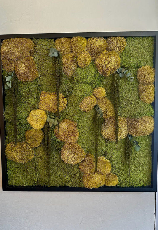 Moss Wall Art | Preserved Moss Art | Moss Wall Decor | Wood Frame Sets | 30 X 30" Square | Sheet Moss, Pole Moss can add Amaranthus and Fern