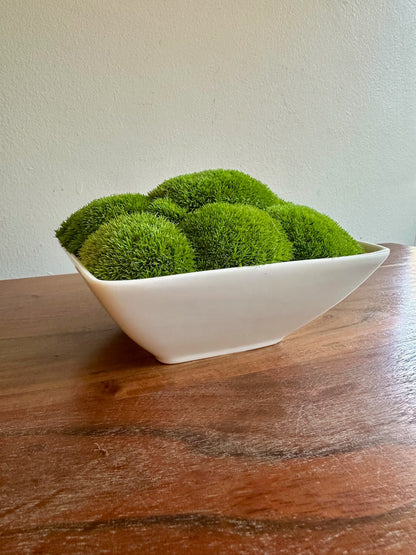 Preserved Moss Bowl Centerpiece: Green Pole Moss & Fern | USA - TARIFF FREE