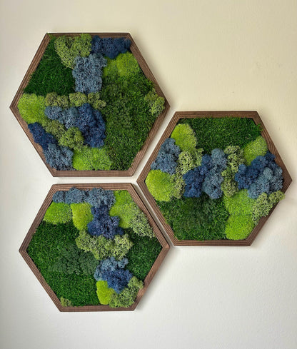 Honeycomb Moss Wall Art: Reindeer & Sheet Moss in Wood Hexagon | USA - TARIFF FREE