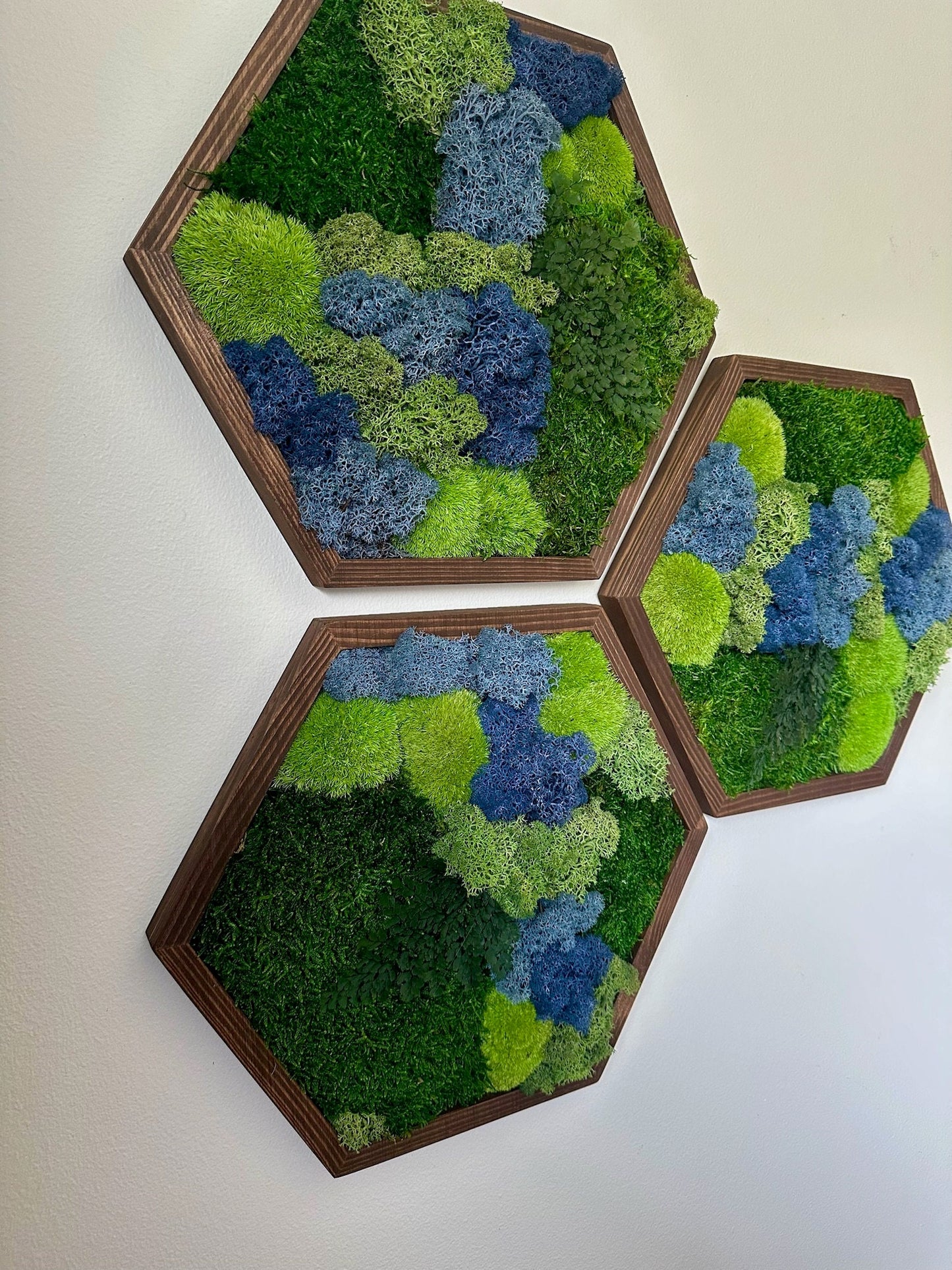 Honeycomb Moss Wall Art: Reindeer & Sheet Moss in Wood Hexagon | USA - TARIFF FREE