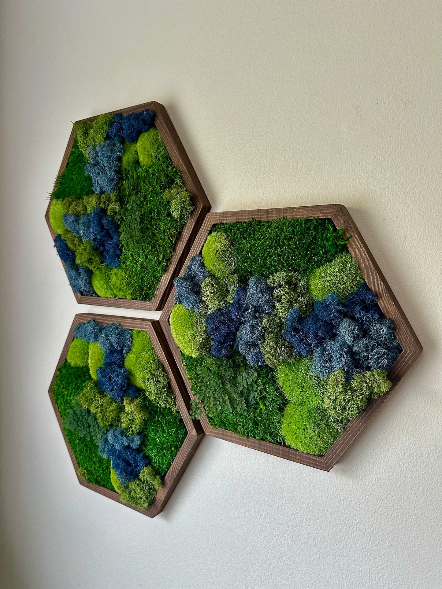 Honeycomb Moss Wall Art: Reindeer & Sheet Moss in Wood Hexagon | USA - TARIFF FREE