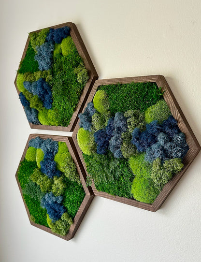 Honeycomb Moss Wall Art: Reindeer & Sheet Moss in Wood Hexagon | USA - TARIFF FREE