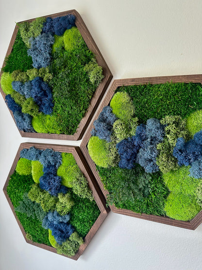 Honeycomb Moss Wall Art: Reindeer & Sheet Moss in Wood Hexagon | USA - TARIFF FREE