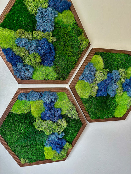 Honeycomb Moss Wall Art: Reindeer & Sheet Moss in Wood Hexagon | USA - TARIFF FREE