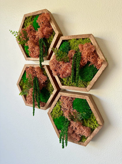 Honeycomb Moss Wall Art: Reindeer Moss in Wood Hexagon | USA - TARIFF FREE