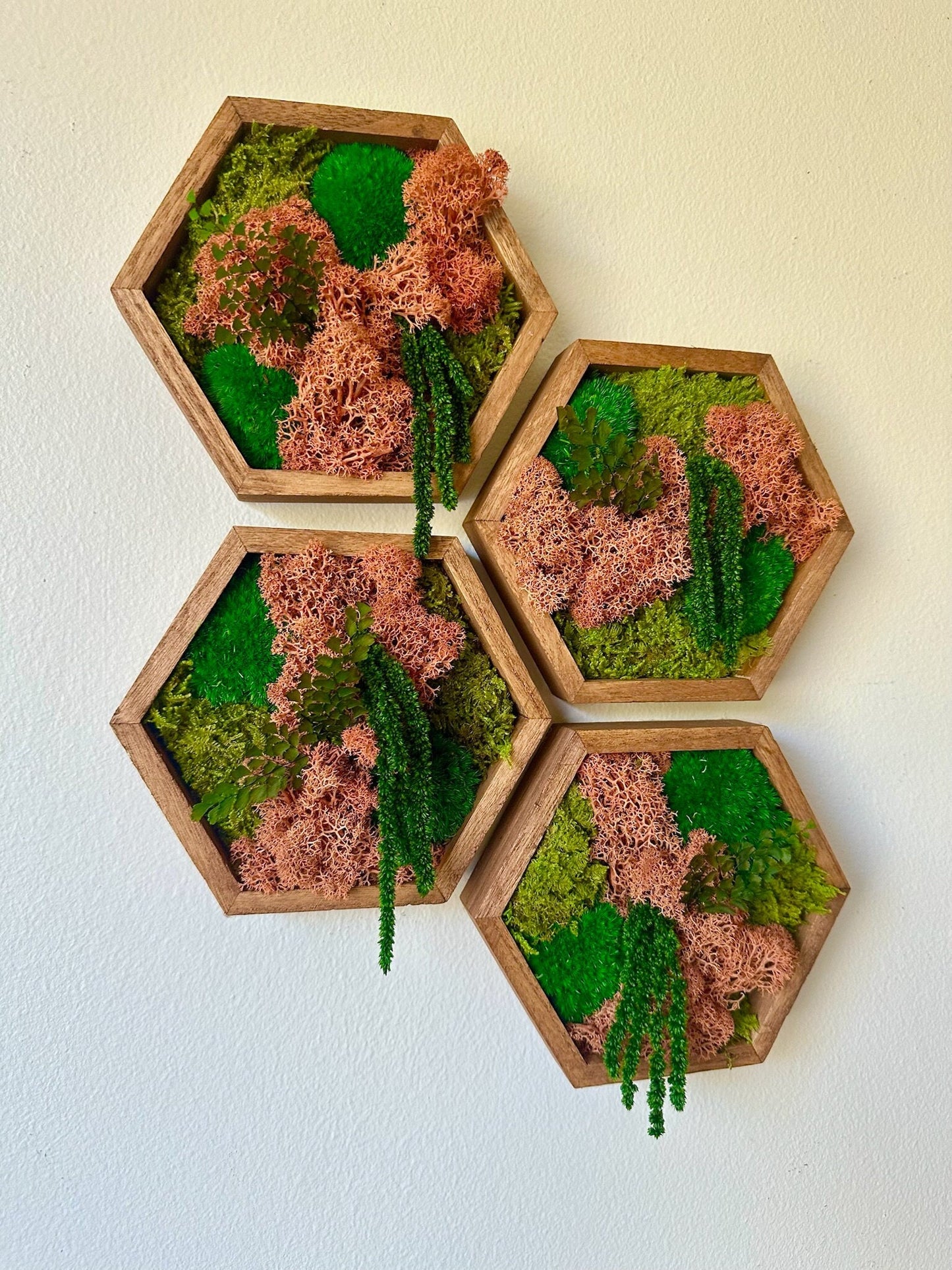 Honeycomb Moss Wall Art: Reindeer Moss in Wood Hexagon | USA - TARIFF FREE
