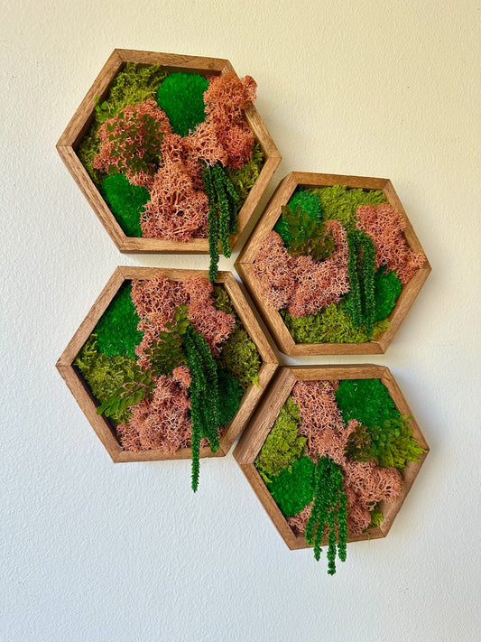 Honeycomb Moss Wall Art: Reindeer Moss in Wood Hexagon | USA - TARIFF FREE