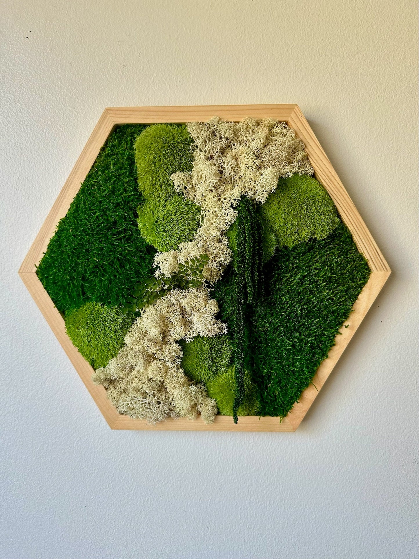 Honeycomb Moss Wall Art: Preserved Reindeer Moss & Amaranthus | USA - TARIFF FREE