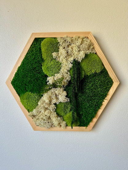 Honeycomb Moss Wall Art: Preserved Reindeer Moss & Amaranthus | USA - TARIFF FREE