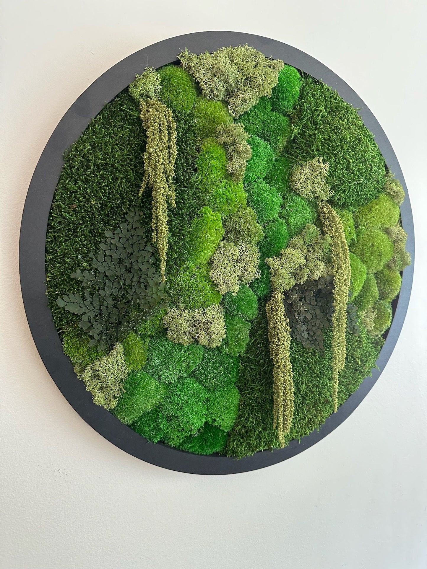 Moss Wall Art Circle Frame | Preserved Moss Art Framed | Moss Wall Decor  | Size is 20" | Reindeer & Sheet Moss | Christmas Gift