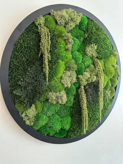 Moss Wall Art Circle Frame | Preserved Moss Art Framed | Moss Wall Decor  | Size is 20" | Reindeer & Sheet Moss | Christmas Gift