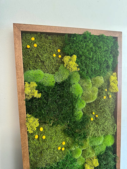 Preserved Moss Wall Art: Lycopodium, Fern & Pole Moss in Wood Frame (15" x 30")