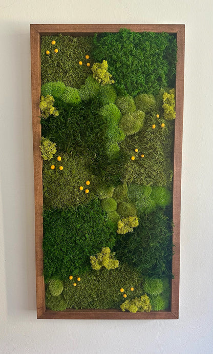 Preserved Moss Wall Art: Lycopodium, Fern & Pole Moss in Wood Frame (15" x 30")
