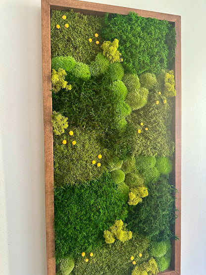 Preserved Moss Wall Art: Lycopodium, Fern & Pole Moss in Wood Frame (15" x 30")