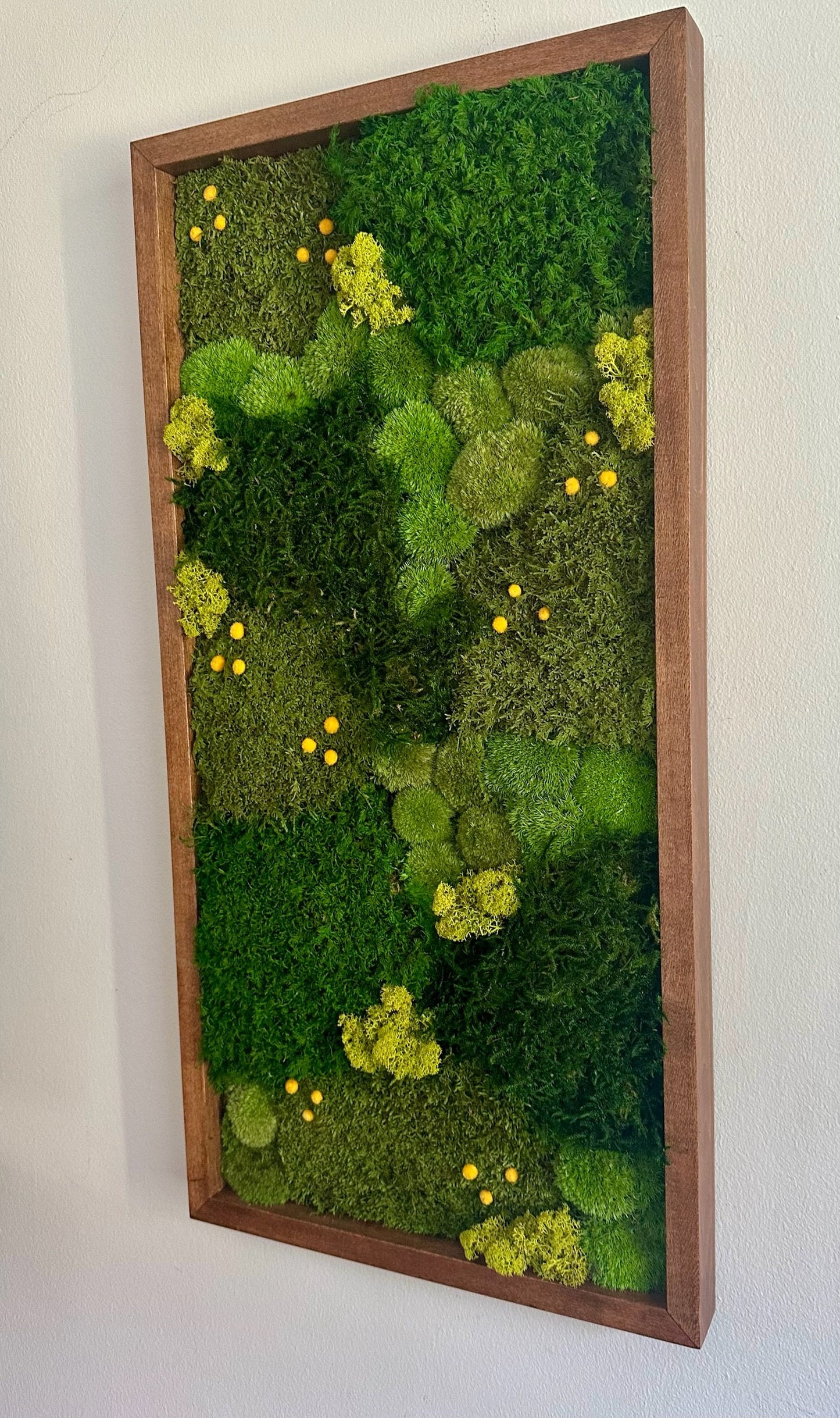 Moss Wall Art | Preserved Moss Art | Moss Wall Decor | Wood Frame Sets | 15" x 30"  Rectangle Set 1 to 4 | Lycopodium Moss, Fern & Pole Moss