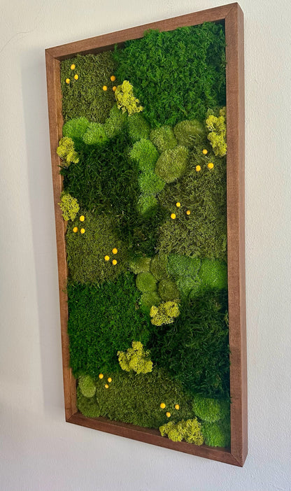 Moss Wall Art | Preserved Moss Art | Moss Wall Decor | Wood Frame Sets | 15" x 30"  Rectangle Set 1 to 4 | Lycopodium Moss, Fern & Pole Moss