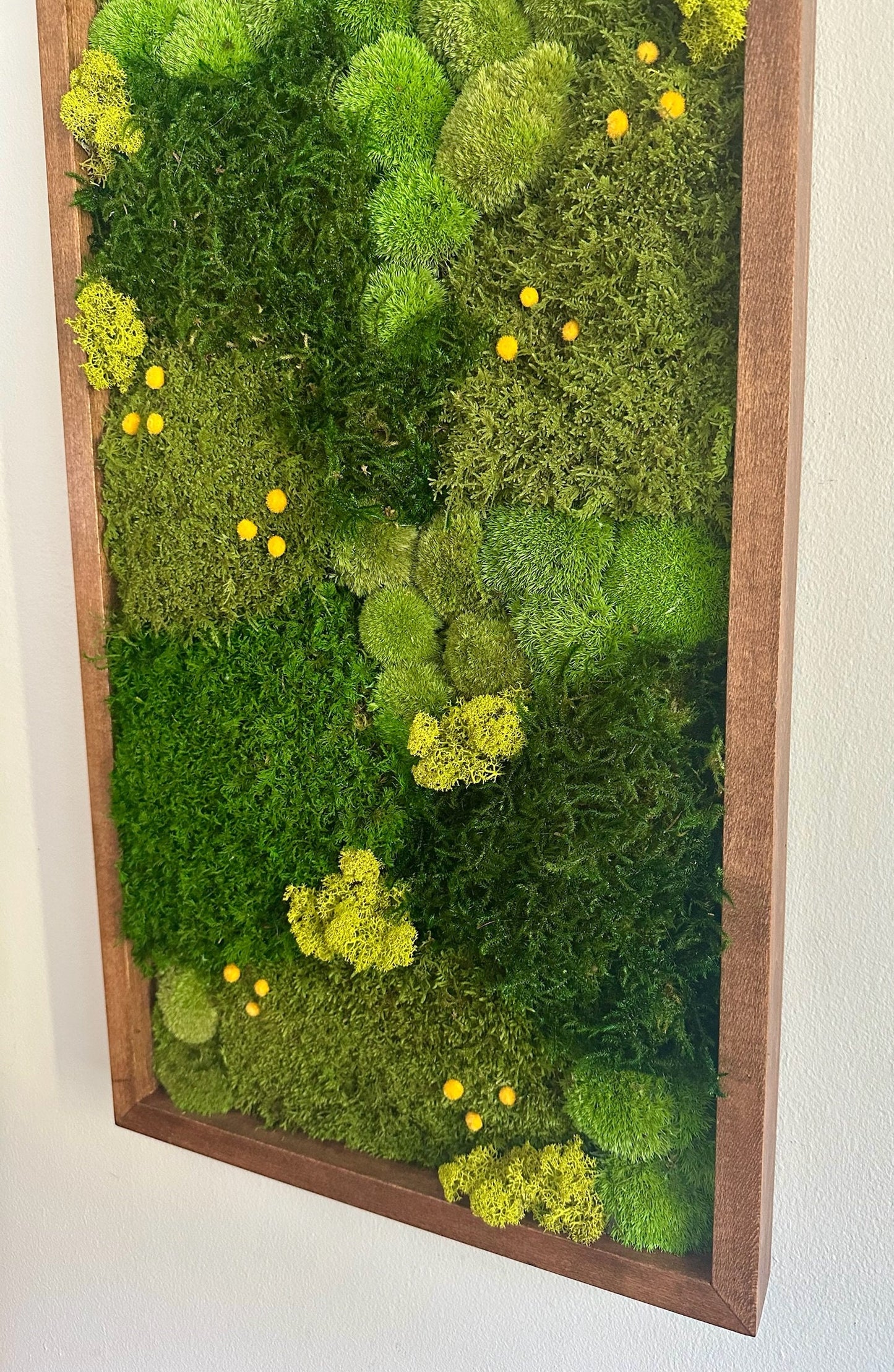 Preserved Moss Wall Art: Lycopodium, Fern & Pole Moss in Wood Frame (15" x 30")