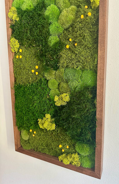 Preserved Moss Wall Art: Lycopodium, Fern & Pole Moss in Wood Frame (15" x 30")