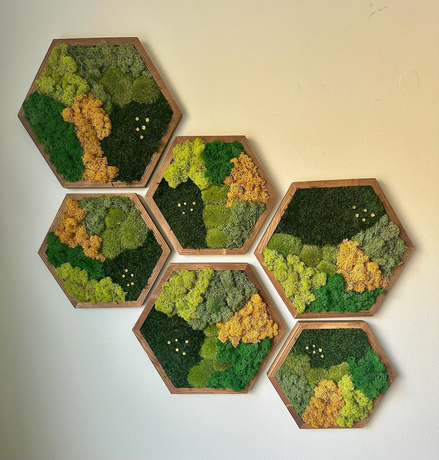 Honeycomb Moss Wall Art: Reindeer & Sheet Moss, Wood Hexagon | USA - TARIFF FREE