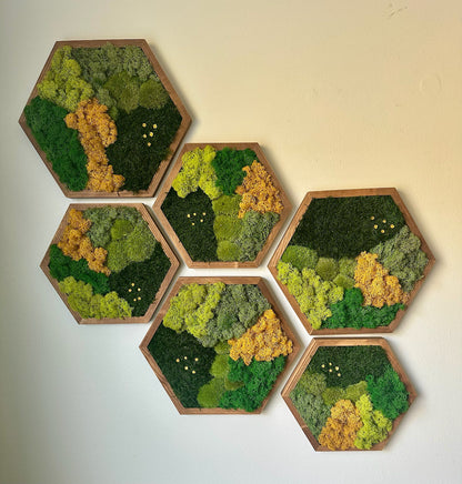 Honeycomb Moss Wall Art: Reindeer & Sheet Moss, Wood Hexagon | USA - TARIFF FREE