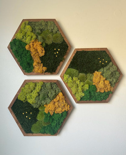 Honeycomb Moss Wall Art: Reindeer & Sheet Moss, Wood Hexagon | USA - TARIFF FREE