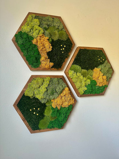 Honeycomb Moss Wall Art: Reindeer & Sheet Moss, Wood Hexagon | USA - TARIFF FREE