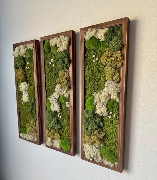 Moss Wall Art | Preserved Moss Art Framed | Moss Wall Decor | Moss Wall Sets | Rectangle Single to Six Set | Reindeer, Pole and Sheet Moss