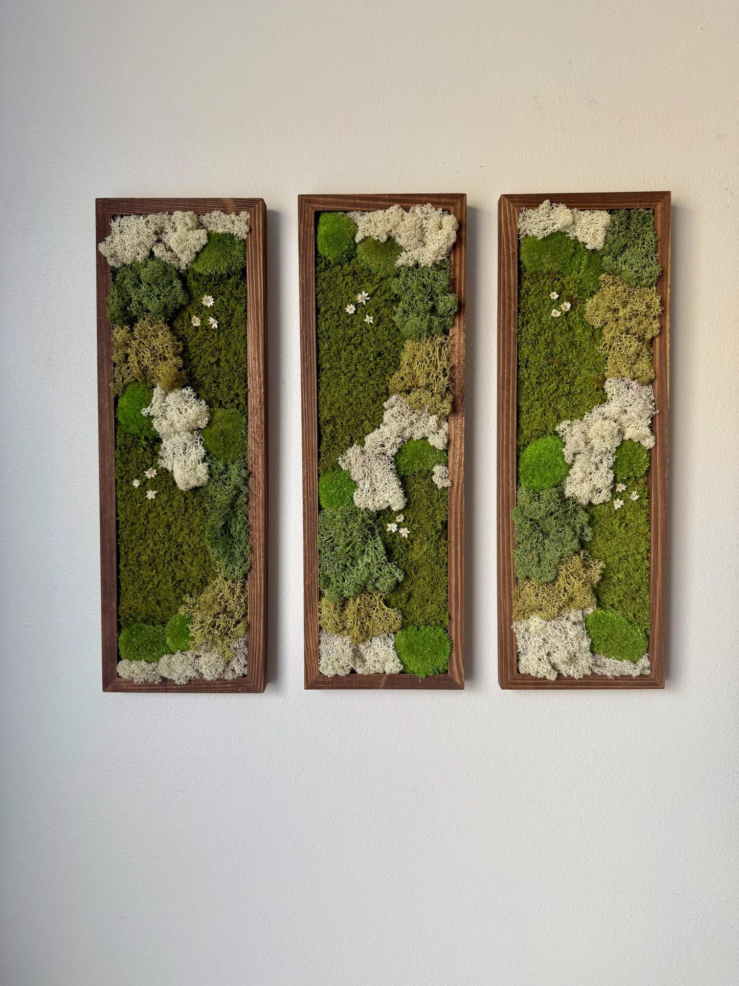 Moss Wall Art | Preserved Moss Art Framed | Moss Wall Decor | Moss Wall Sets | Rectangle Single to Six Set | Reindeer, Pole and Sheet Moss