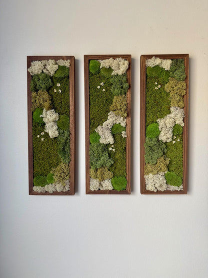 Moss Wall Art | Preserved Moss Art Framed | Moss Wall Decor | Moss Wall Sets | Rectangle Single to Six Set | Reindeer, Pole and Sheet Moss