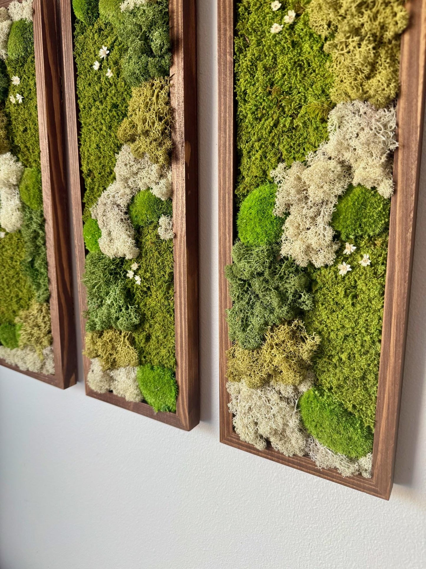 Moss Wall Art | Preserved Moss Art Framed | Moss Wall Decor | Moss Wall Sets | Rectangle Single to Six Set | Reindeer, Pole and Sheet Moss