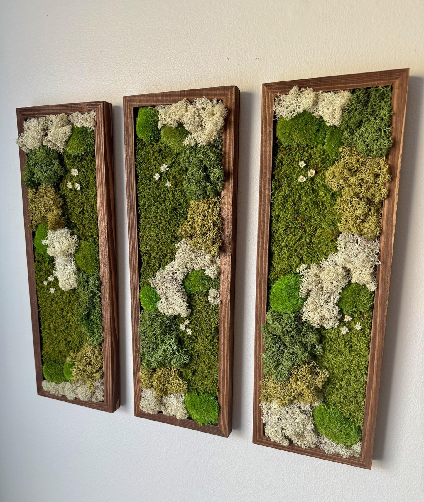 Preserved Reindeer Moss Wall Art: Rectangle Wood Frame, Natural Home Decor | USA - TARIFF FREE