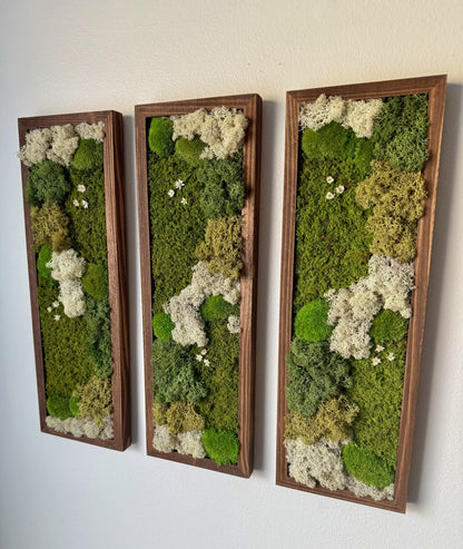 Preserved Reindeer Moss Wall Art: Rectangle Wood Frame, Natural Home Decor | USA - TARIFF FREE