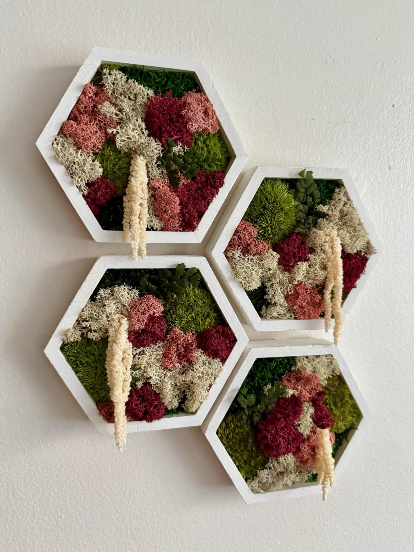 Honeycomb Moss Wall Art: Reindeer & Sheet Moss, Wood Hexagon Frame | USA - TARIFF FREE