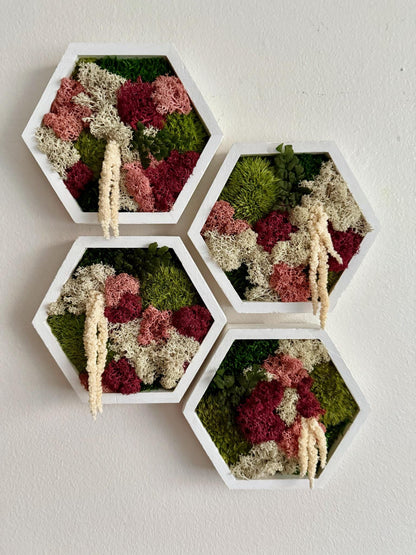 Honeycomb Moss Wall Art: Reindeer & Sheet Moss, Wood Hexagon Frame | USA - TARIFF FREE