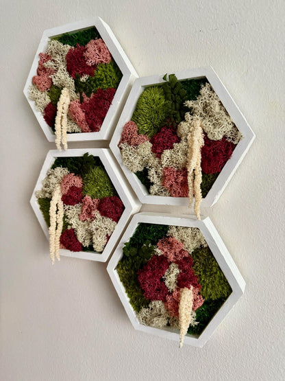 Honeycomb Moss Wall Art: Reindeer & Sheet Moss, Wood Hexagon Frame | USA - TARIFF FREE