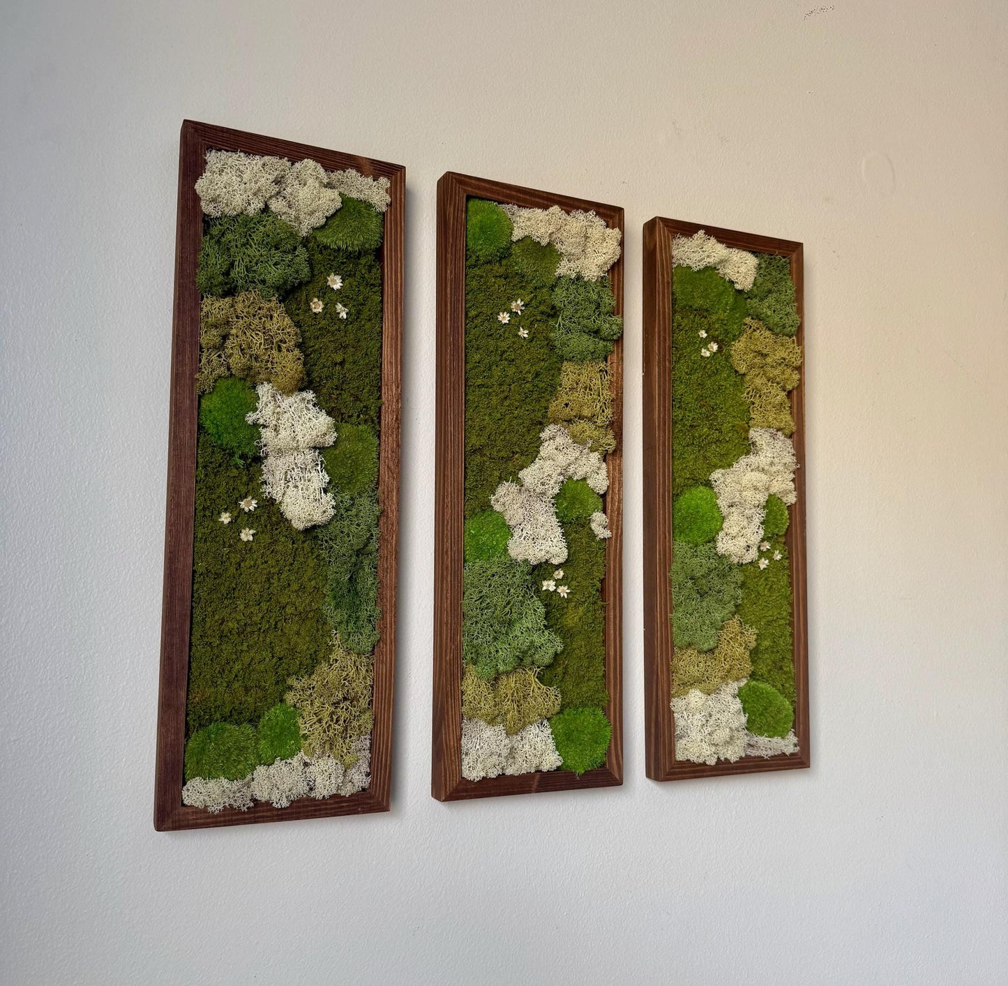 Preserved Reindeer Moss Wall Art: Rectangle Wood Frame, Natural Home Decor | USA - TARIFF FREE
