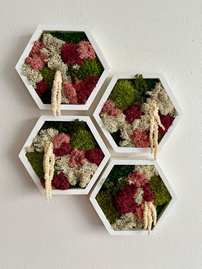 Honeycomb Moss Wall Art: Reindeer & Sheet Moss, Wood Hexagon Frame | USA - TARIFF FREE
