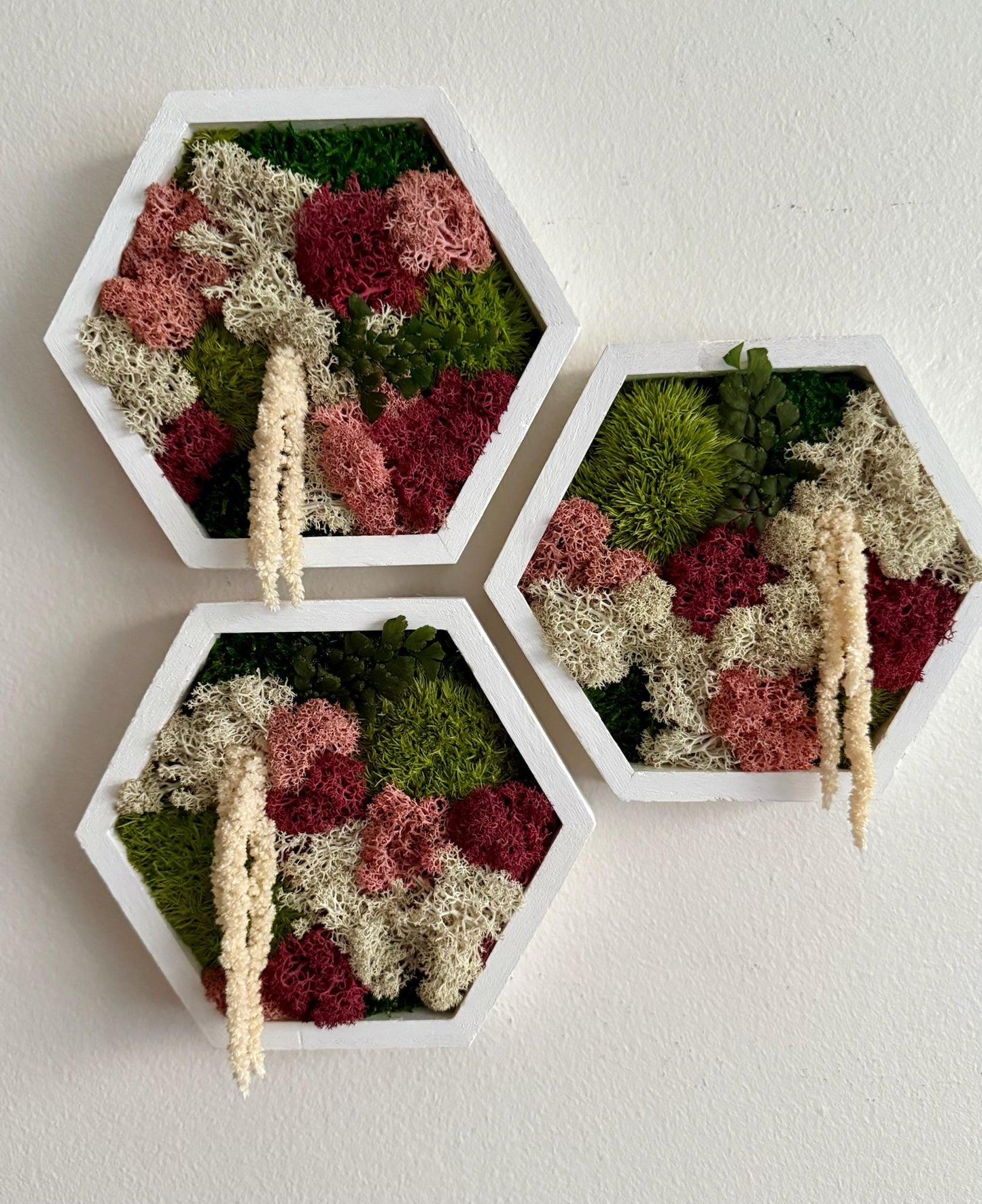 Honeycomb Moss Wall Art: Reindeer & Sheet Moss, Wood Hexagon Frame | USA - TARIFF FREE