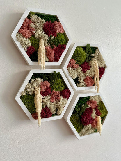 Honeycomb Moss Wall Art: Reindeer & Sheet Moss, Wood Hexagon Frame | USA - TARIFF FREE