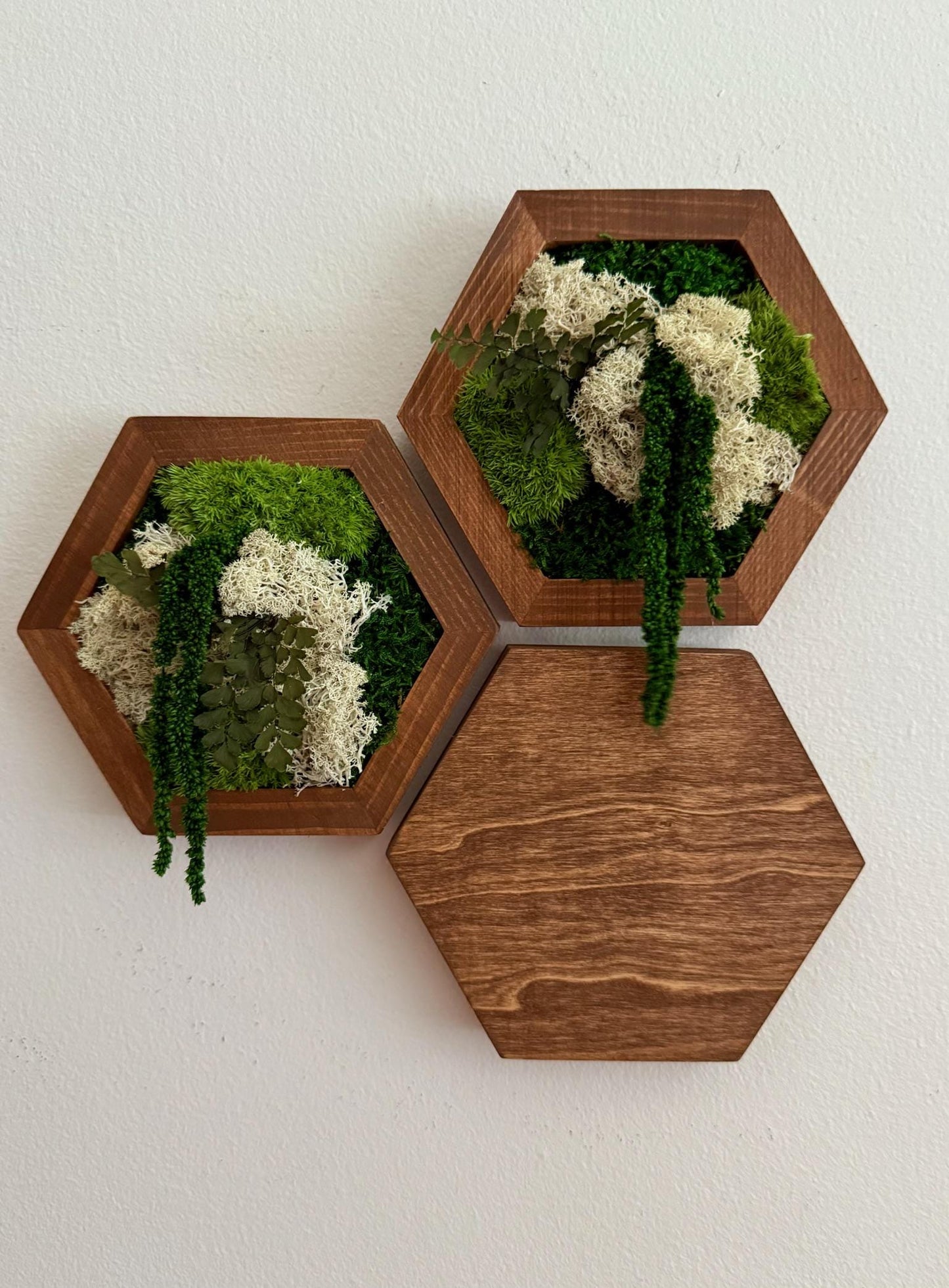 Honeycomb Moss Wall Art: Reindeer Moss & Wood Hexagon Panel | USA - TARIFF FREE