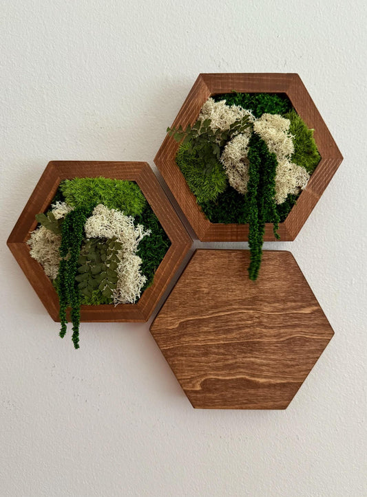 Honeycomb Moss Wall Art: Reindeer Moss & Wood Hexagon Panel | USA - TARIFF FREE