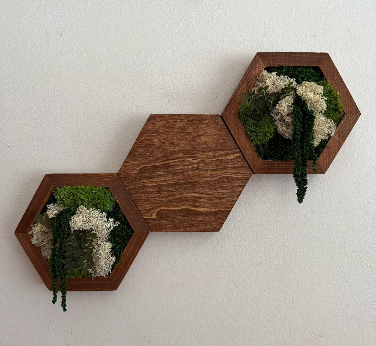 Honeycomb Moss Wall Art: Reindeer Moss & Wood Hexagon Panel | USA - TARIFF FREE